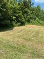 0 Love Branch Road - Photo 9