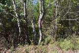 0 New Lake Road - Photo 25