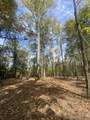 0 Newt Vanattia Rd - Photo 4