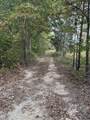 646 Brush Creek Rd - Photo 14