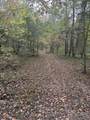 646 Brush Creek Rd - Photo 3