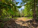 0 Old Mail Road - Photo 3