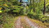 441 Pumpkin Hollow Rd - Photo 12