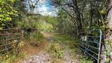 441 Pumpkin Hollow Rd - Photo 13