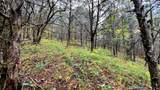 441 Pumpkin Hollow Rd - Photo 25