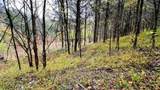 441 Pumpkin Hollow Rd - Photo 26