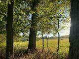 0 Narrows Of The Harpeth Rd - Photo 8