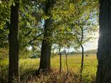 0 Narrows Of The Harpeth Rd - Photo 9