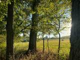 0 Narrows Of The Harpeth Rd - Photo 9