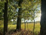 0 Narrows Of The Harpeth Rd - Photo 9
