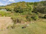 161 Oliver Branch Rd - Photo 52