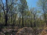 0 Shores Trail - Photo 2