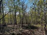 0 Shores Trail - Photo 3