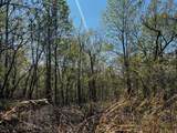 0 Shores Trail - Photo 4