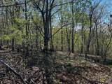 0 Shores Trail - Photo 7
