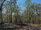 0 Shores Trail - Photo 8