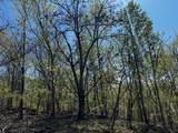 0 Shores Trail - Photo 9