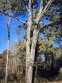 1366 Ridge Cir - Photo 3