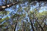 0 Owl Hollow Rd - Photo 25