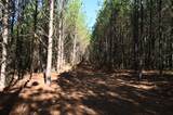 0 Owl Hollow Rd - Photo 6