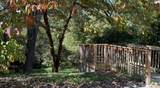 5057 Mclendon Dr - Photo 59