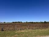 0 Hwy 231 - Photo 14