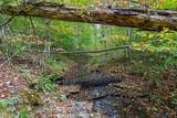 5740 N Lick Creek Rd - Photo 81