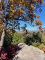 1651 Lake Louisa Loop - Photo 77