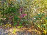 0 Paradise Ln - Photo 10