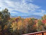 630 Big Bear Ridge Rd - Photo 4