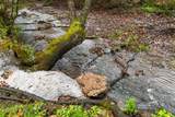 3109 Brown Hollow Rd - Photo 47