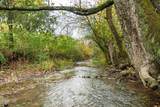3109 Brown Hollow Rd - Photo 48