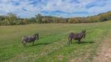 1545 Cedar Hill Rd - Photo 8