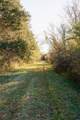 358 Jack Pickle Rd - Photo 55