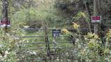 0 Greenvale Rd - Photo 4