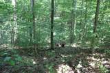 0 Jackson Cabin Road - Photo 14