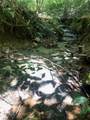 0 Jackson Cabin Road - Photo 4