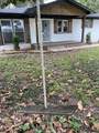 1807 Hamilton Avenue - Photo 33
