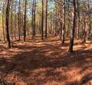 3020 Mcgee Rd - Photo 16