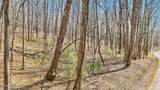 1300 Old Sugar Limb Rd - Photo 19