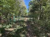 2119 Bunches Chapel Rd - Photo 13