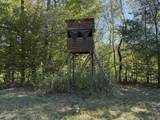 2119 Bunches Chapel Rd - Photo 5
