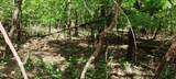 0 Coburntown (Lot 11) Road - Photo 1