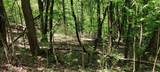 0 Coburntown (Lot 11) Road - Photo 2