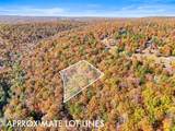 202 Deep Woods Drive - Photo 3