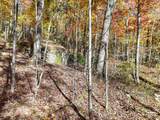 202 Deep Woods Drive - Photo 7