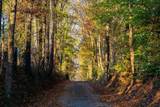 0 Collier Ln - Photo 9
