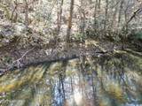 0 Daddy S Creek Trail - Photo 22