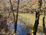0 Daddy S Creek Trail - Photo 25