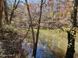 0 Daddy S Creek Trail - Photo 26